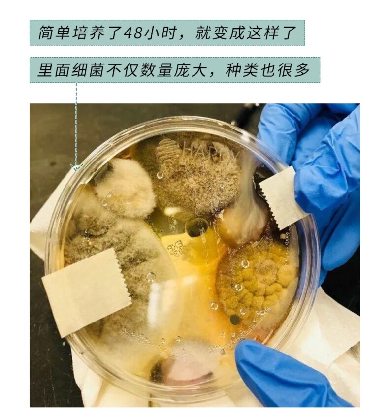 洗手间里的手烘干机和洗手液有细菌吗丨科普