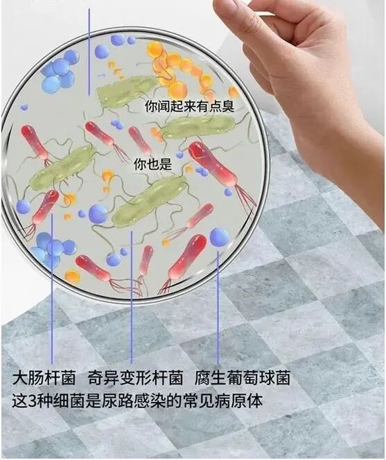 洗手间里的手烘干机和洗手液有细菌吗丨科普
