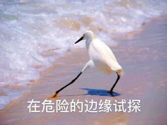 过了保质期的食品还能吃吗?“保质期”到底怎么理解丨科普