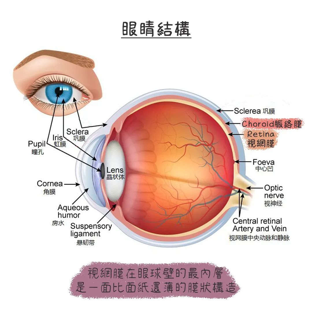 照镜子比本人好看30%?附科学依据-2 照镜子比本人好看30%?附科学依据-2