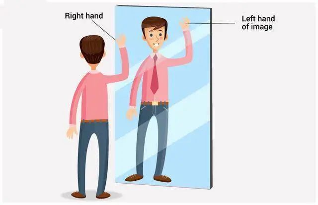 照镜子比本人好看30%?附科学依据-8 照镜子比本人好看30%?附科学依据-8