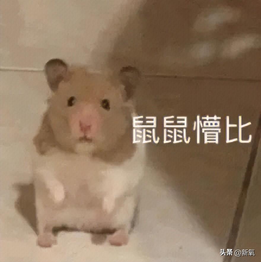 金智妮和金泰亨在卫生间私密照曝光,女生上公共厕所有多危险?