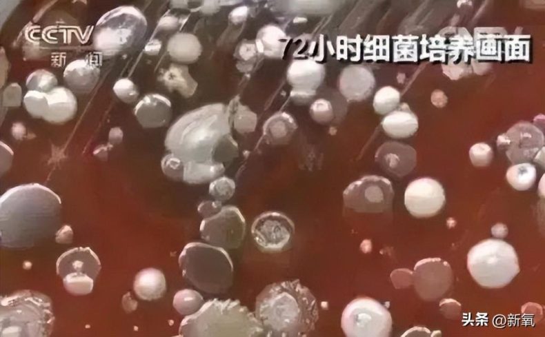 金智妮和金泰亨在卫生间私密照曝光,女生上公共厕所有多危险?