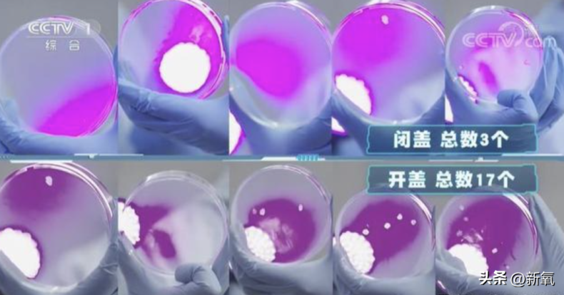 金智妮和金泰亨在卫生间私密照曝光,女生上公共厕所有多危险?