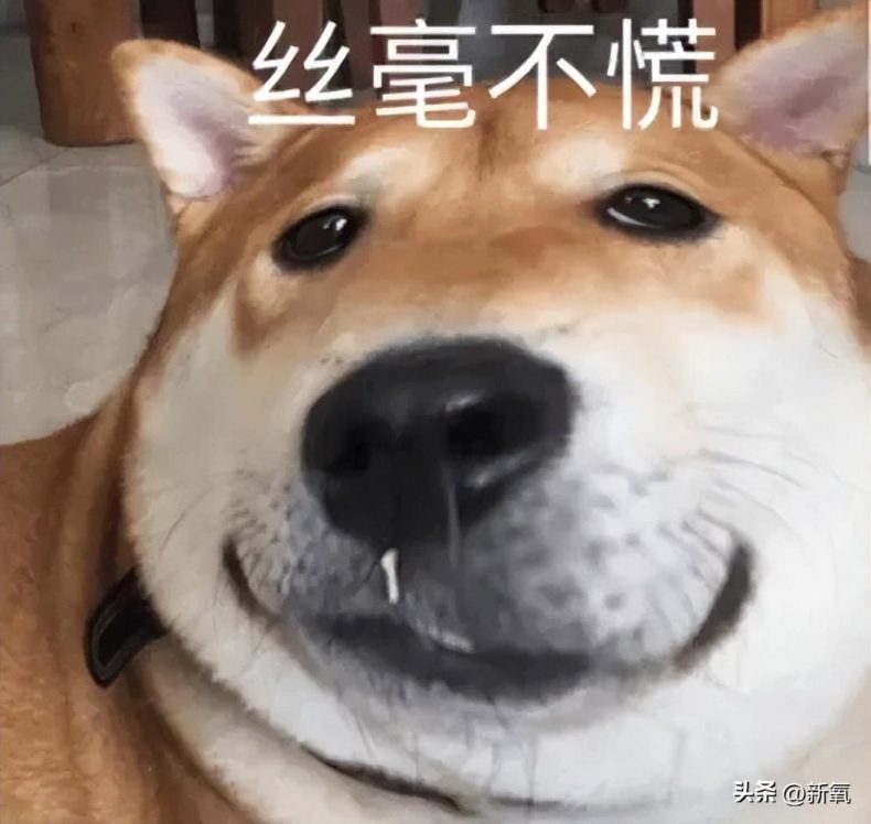 金智妮和金泰亨在卫生间私密照曝光,女生上公共厕所有多危险?