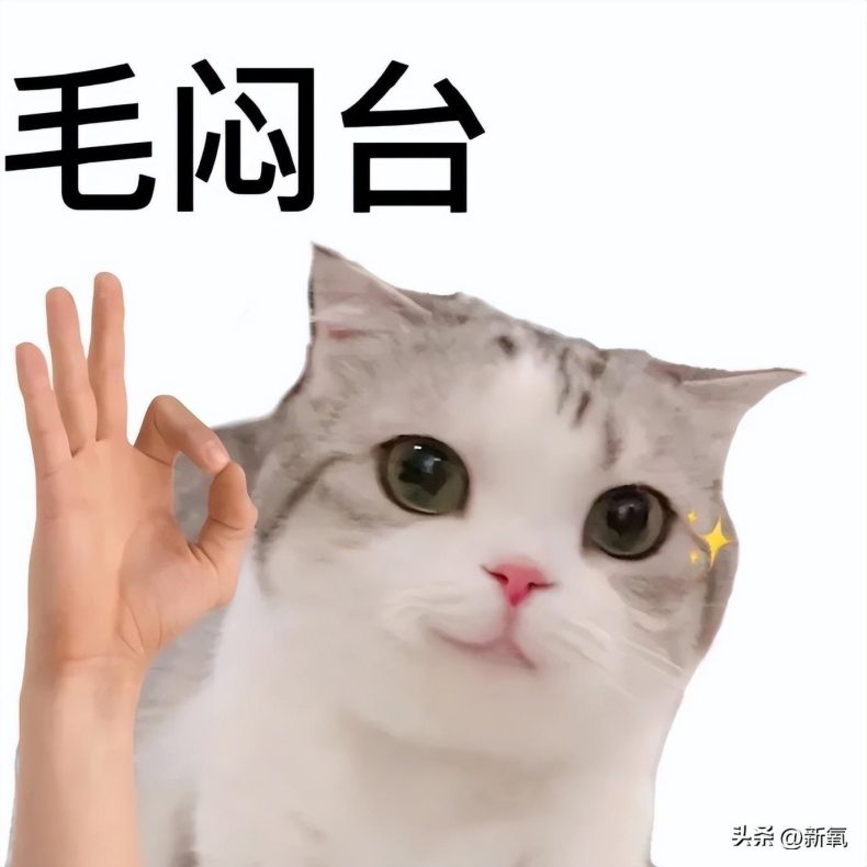 金智妮和金泰亨在卫生间私密照曝光,女生上公共厕所有多危险?