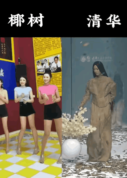 低俗或高雅？椰树美女对比清华美院 椰树美女才能代表中国女性之美