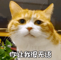 女人最后能依靠的到底是什么？