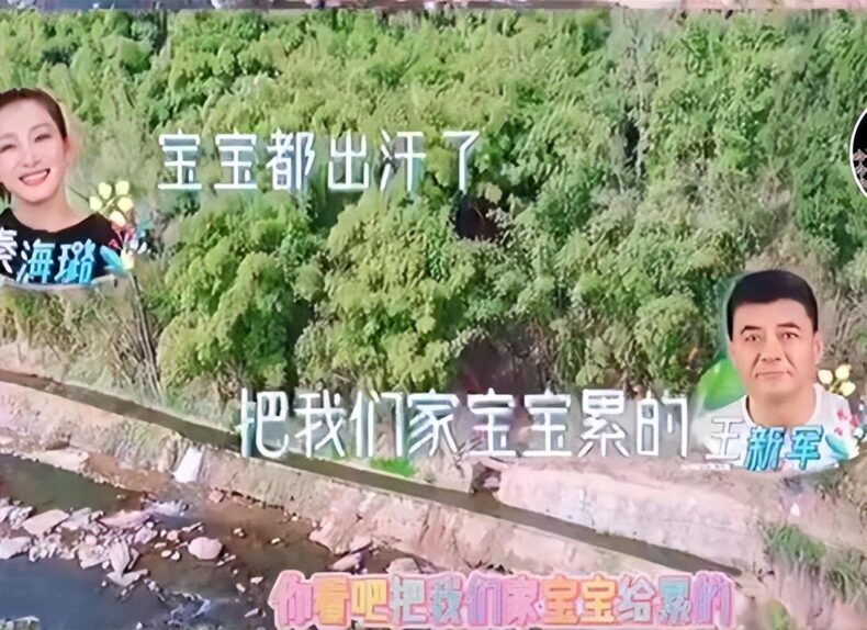 “西北硬汉”王新军，43岁二婚娶秦海璐，8年为爱甘当煮夫