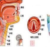 嗓音障碍的定义、形成、表现和应对方法丨科普