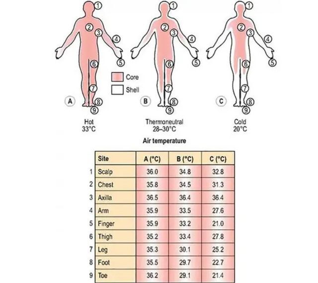 男生秋裤前面为啥有个洞丨科普
