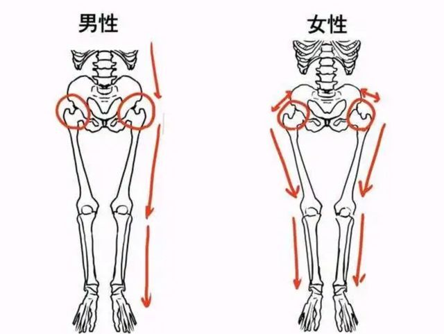 男生秋裤前面为啥有个洞丨科普