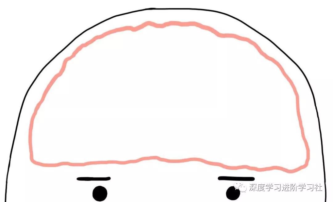 大脑是如何工作的？附大脑工作原理丨科普