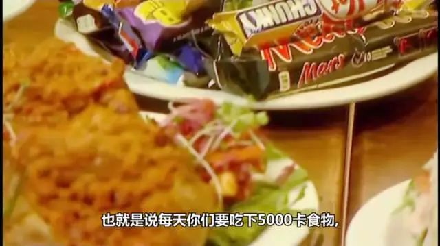 天生瘦人真的吃不胖吗？还真有人做了实验丨圈说