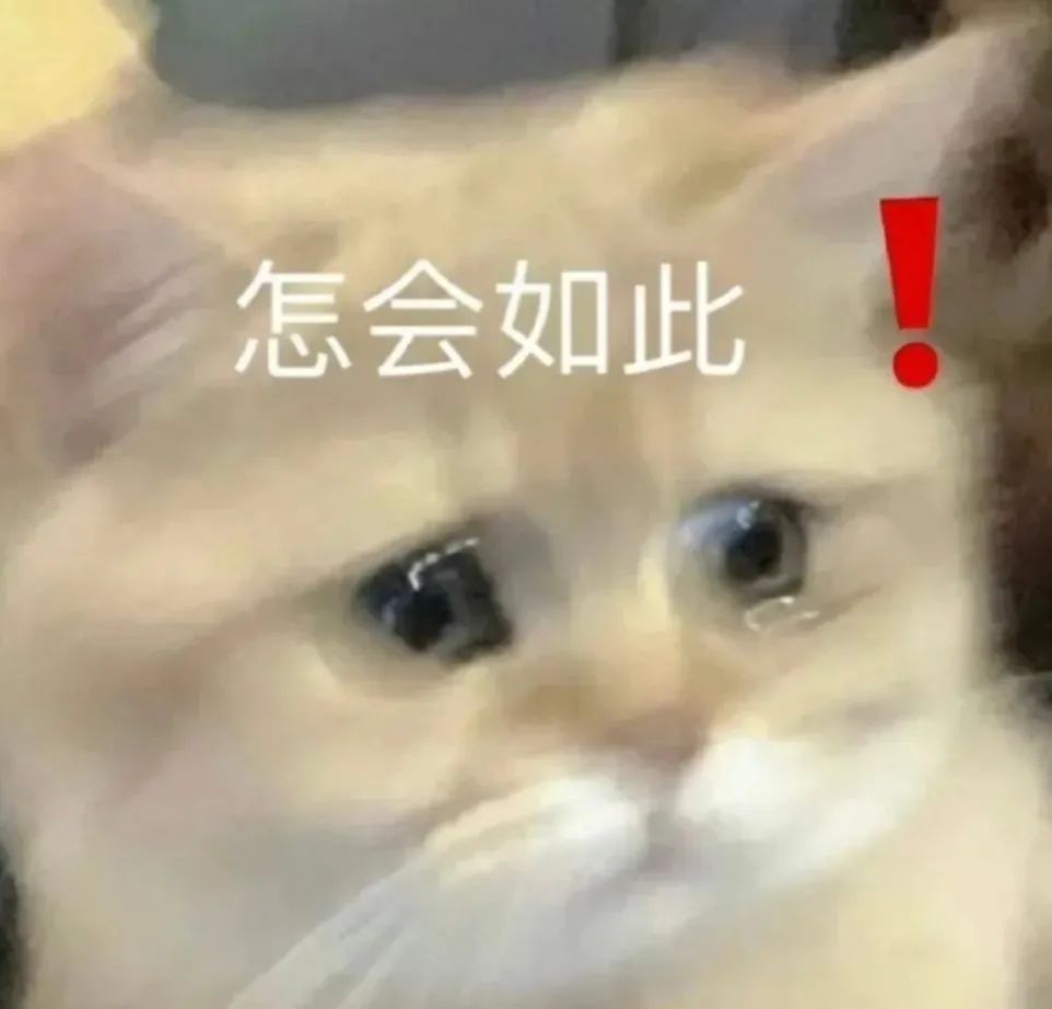 大数据离谱了！给我推了一天「情趣内衣」，网友：你搜过什么？