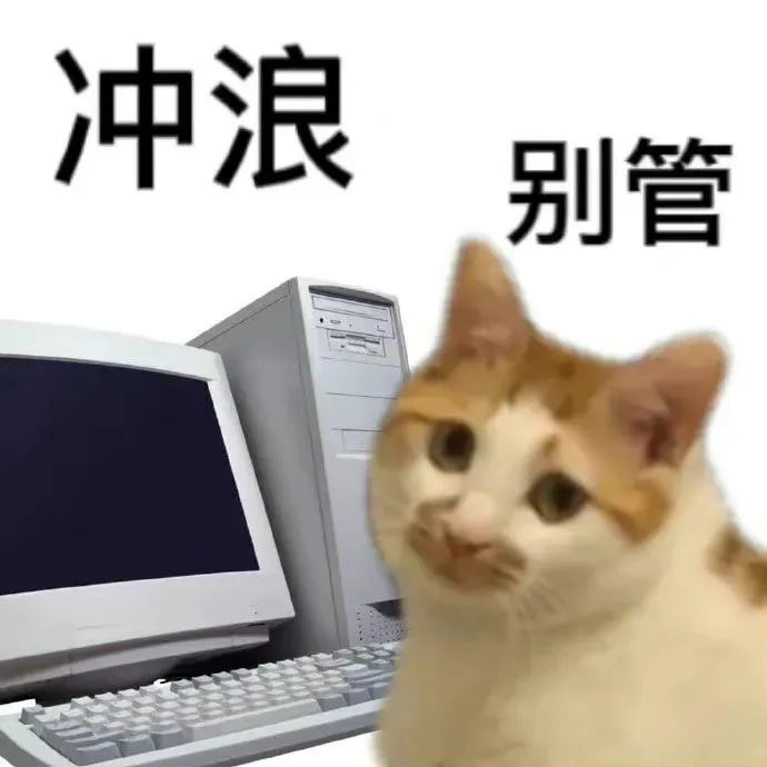 大数据离谱了！给我推了一天「情趣内衣」，网友：你搜过什么？