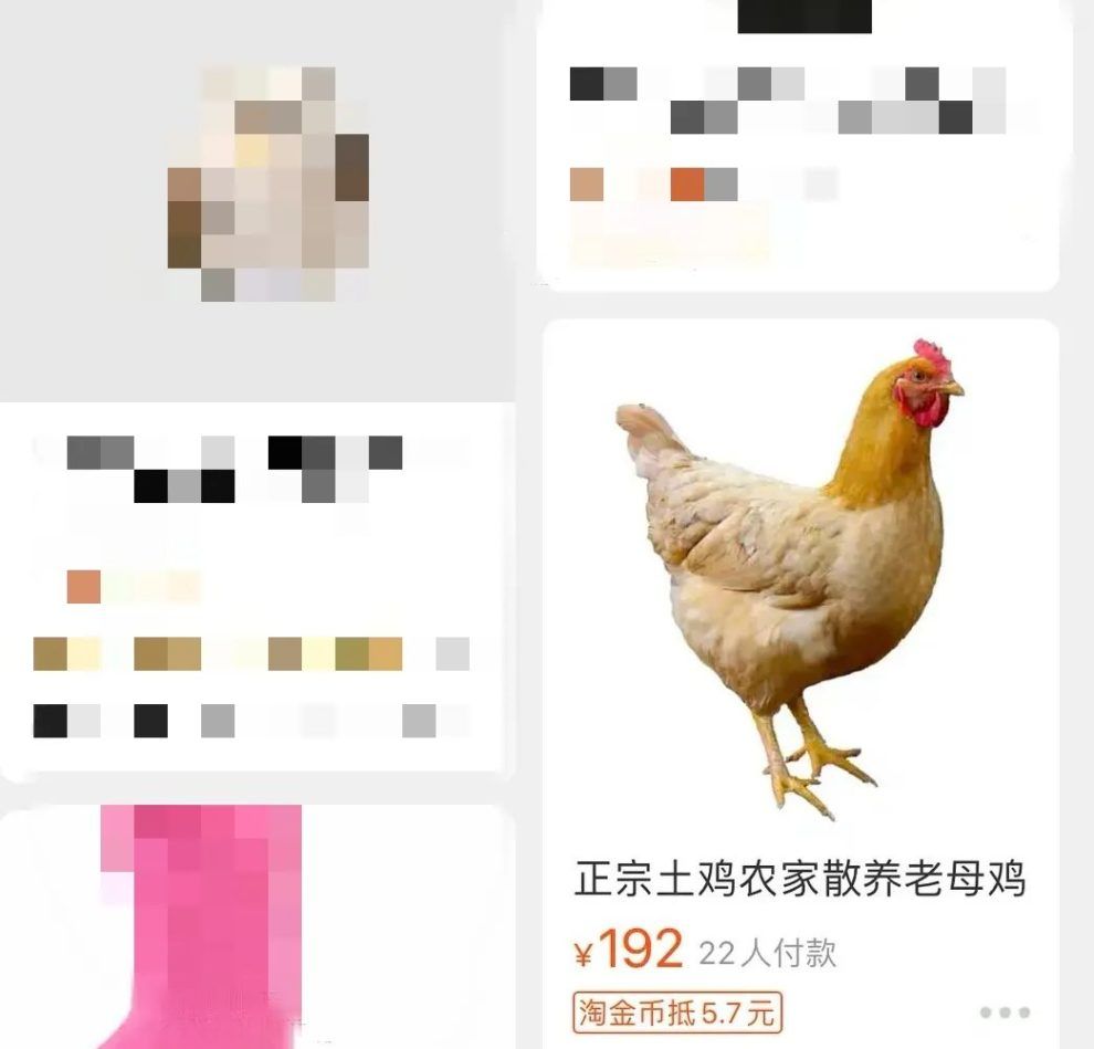 大数据离谱了！给我推了一天「情趣内衣」，网友：你搜过什么？