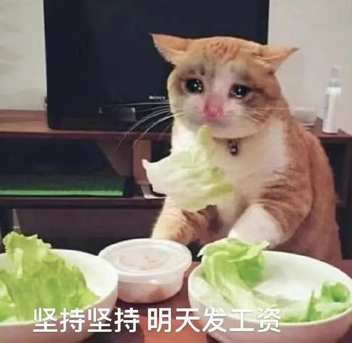 大数据离谱了！给我推了一天「情趣内衣」，网友：你搜过什么？