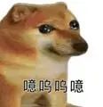 大数据离谱了！给我推了一天「情趣内衣」，网友：你搜过什么？